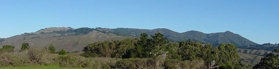 Mount Tamalpais