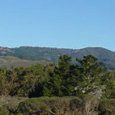 Mount Tamalpais