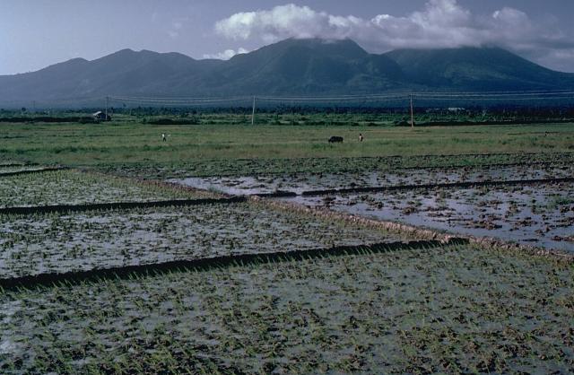 Pocdol Mountains