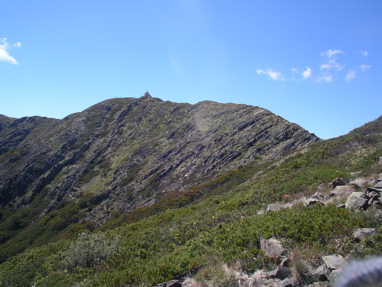 Mount Buller (mountain)