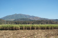 Volcan Ceboruco photo