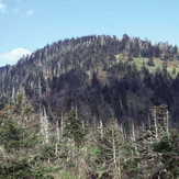 Clingman's Dome