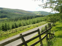 Slieve Bloom Mountains photo