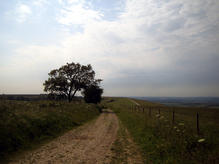 Walbury Hill weather