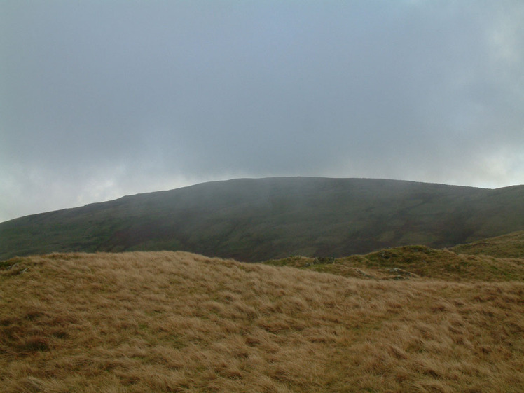 Grayrigg Forest