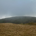 Grayrigg Forest