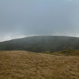 Grayrigg Forest