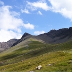 Sgurr na Banachdich