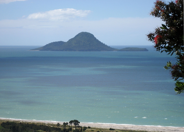 Whale Island, New Zealand