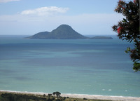 Whale Island, New Zealand photo