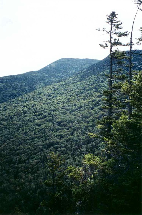 Old Speck Mountain