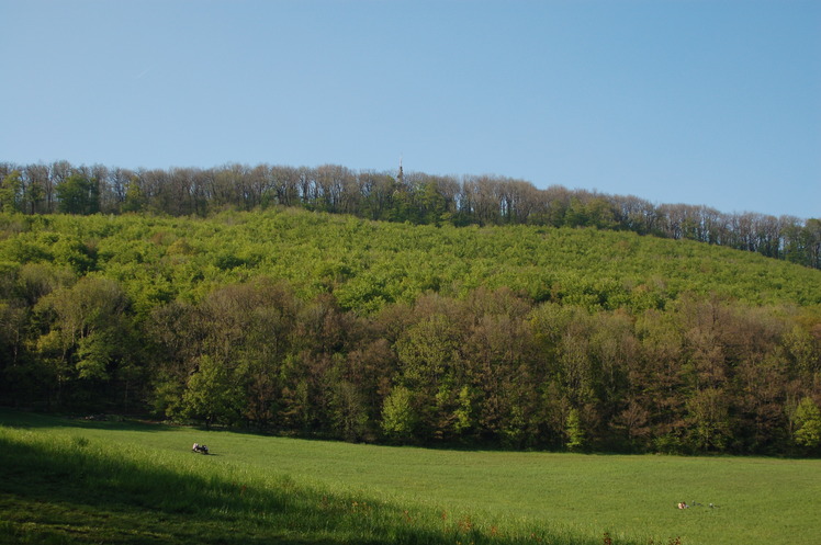 Hermannskogel Mountain Photo by Michael Kranewitter, Vienna | 5:19 pm ...