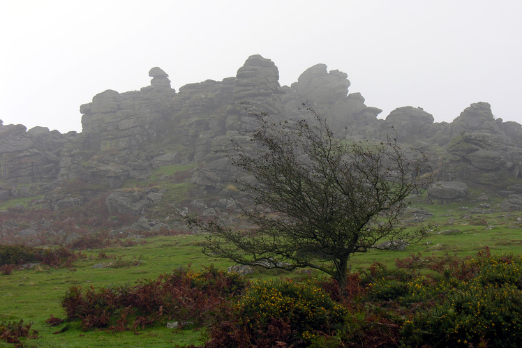 Hound Tor