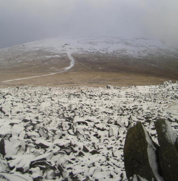 Foel Grach weather