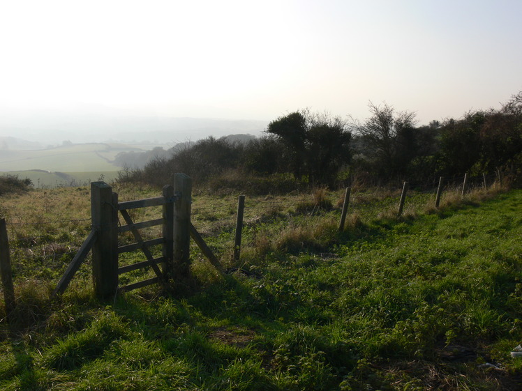 Brading Down weather