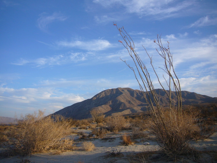 Coyote Mountain (California) weather