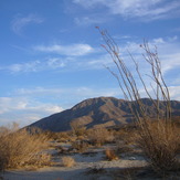 Coyote Mountain (California)