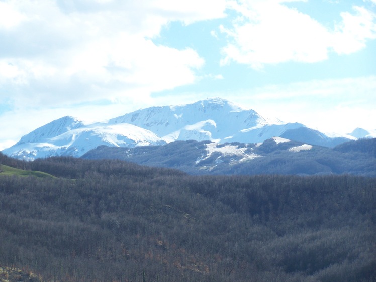 Alpe di Succiso weather