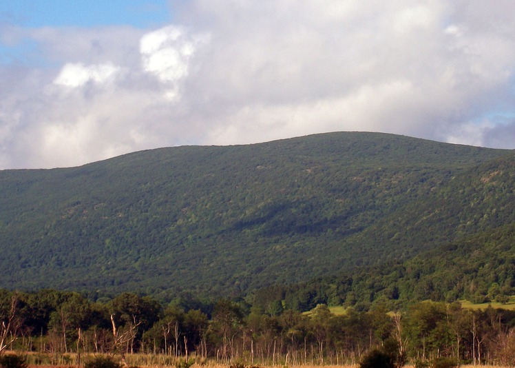 Brace Mountain weather