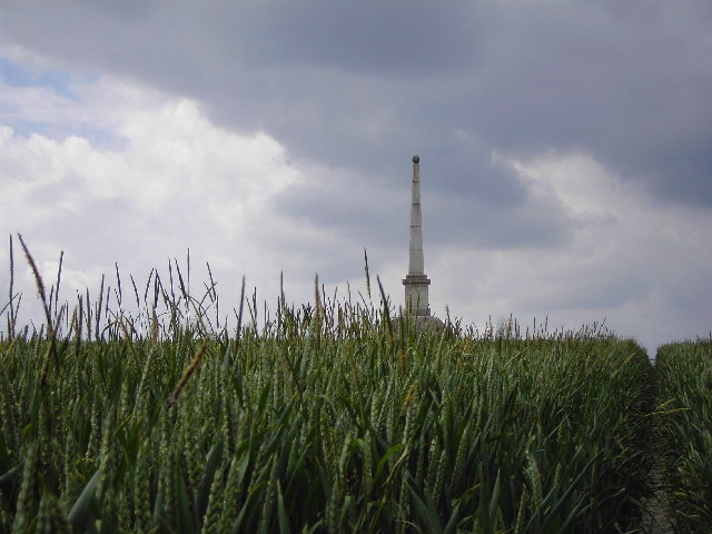 Rowley's Hill weather