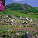 Mount Midori