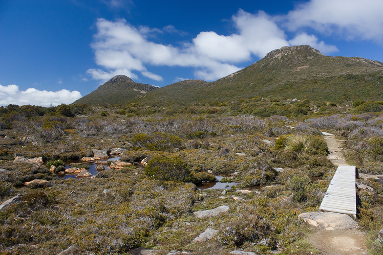 Hartz Mountains (Tasmania) weather