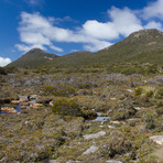 Hartz Mountains (Tasmania)