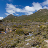 Hartz Mountains (Tasmania)