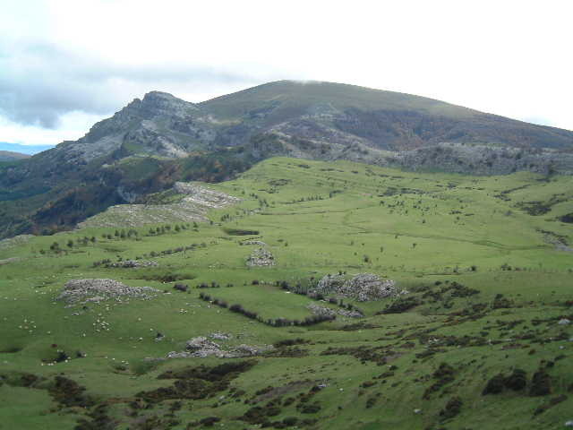 Gorbea