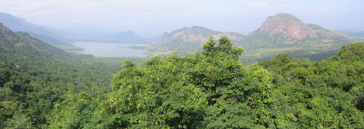 Palni Hills weather