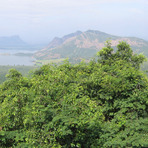 Palni Hills