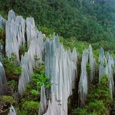 Gunung Api