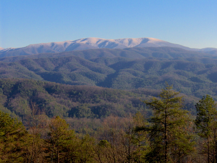 Gregory Bald weather