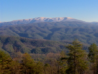 Gregory Bald photo