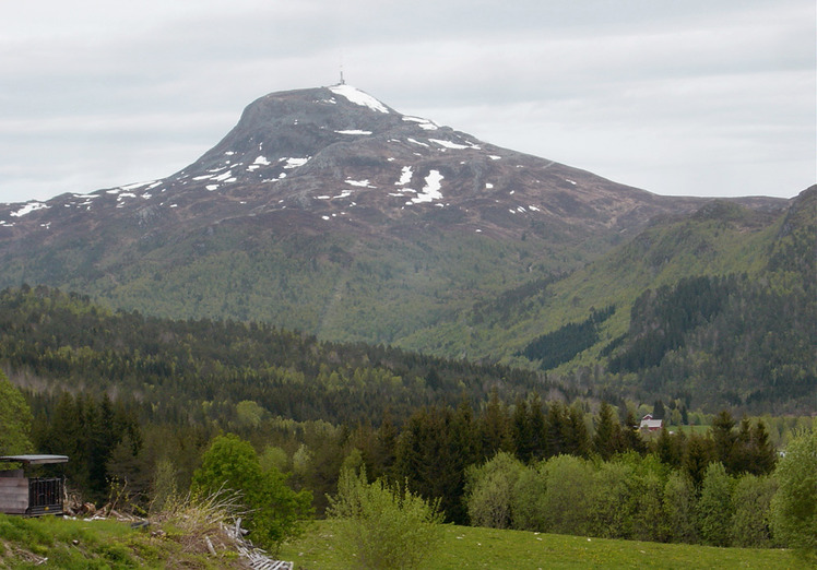 Reinsfjellet weather