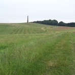 Wychbury Hill