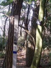 Mount Iwahara photo