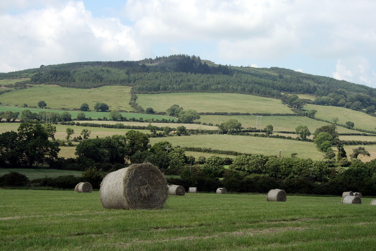 Arklow Hill weather