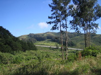 San Bruno Mountain photo