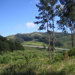 San Bruno Mountain