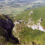 Devica