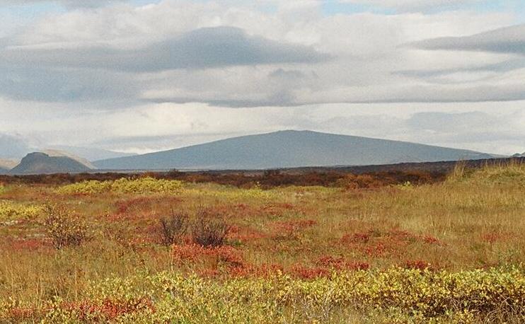 Skjaldbreiður