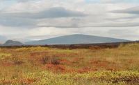 Skjaldbreiður photo