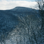 Sugarloaf Knob