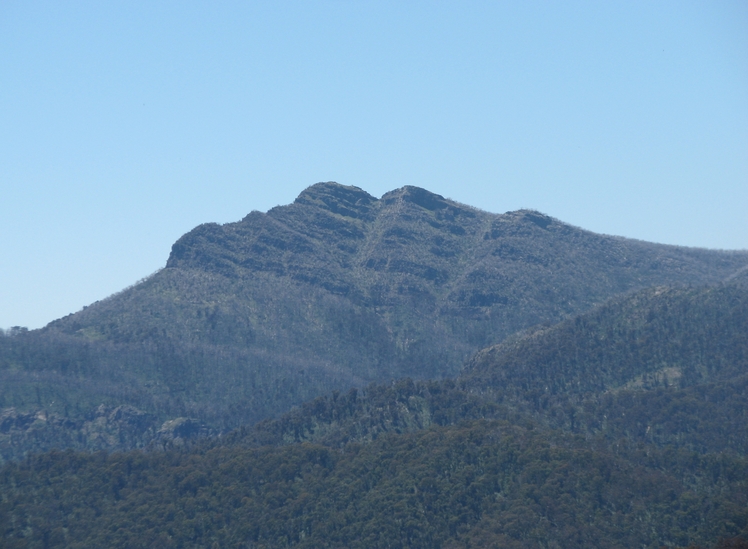 Mount Cobbler