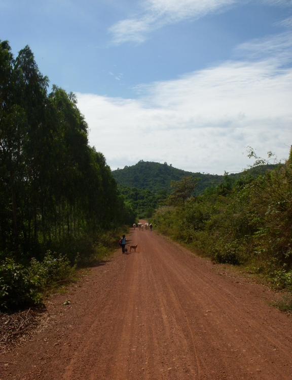 Phnom Voar weather