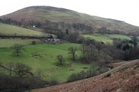 Ling Fell photo