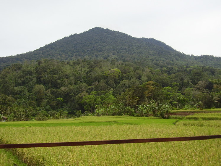 Pulosari weather