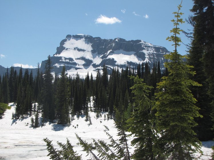 Mount Custer