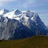 Mittelhorn